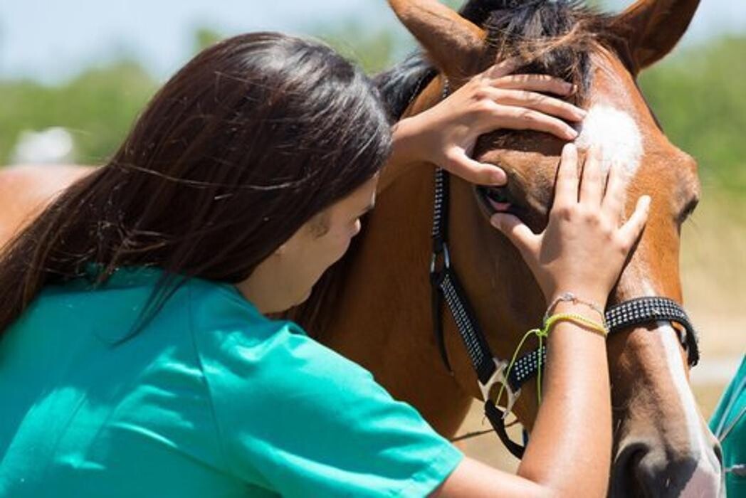 Images Gonda's Veterinary Practice