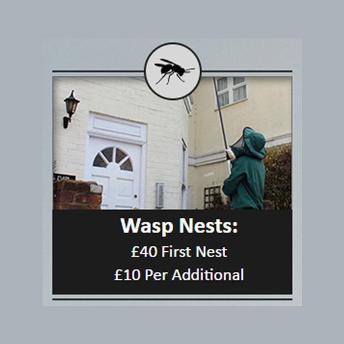 Images The County Pest Control