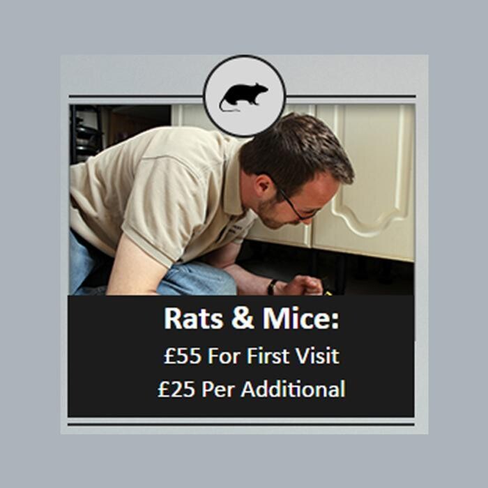 Images The County Pest Control