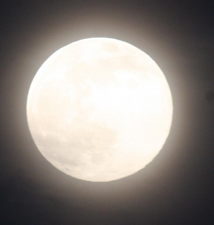 Images Mike Crutchley