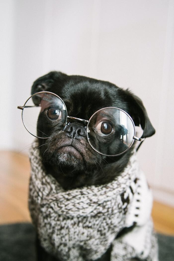 Images Bird & Fairley Opticians & Hearing Care