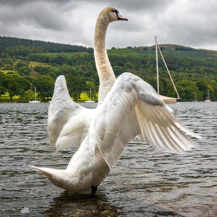 Images Buck Yeats Lodge Lodge Park