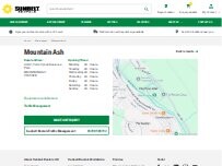 Website Screenshot Sunbelt Rentals Mountain Ash