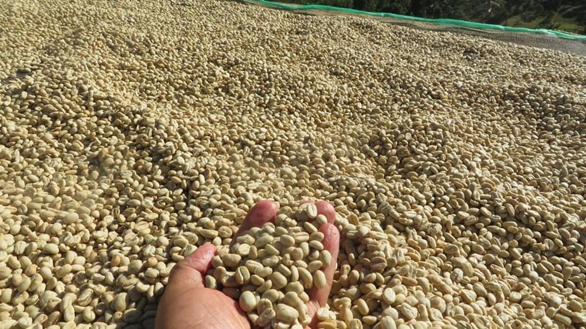 Images ETHIOCOFFEE IMPORTERS & DISTRIBUTORS LTD
