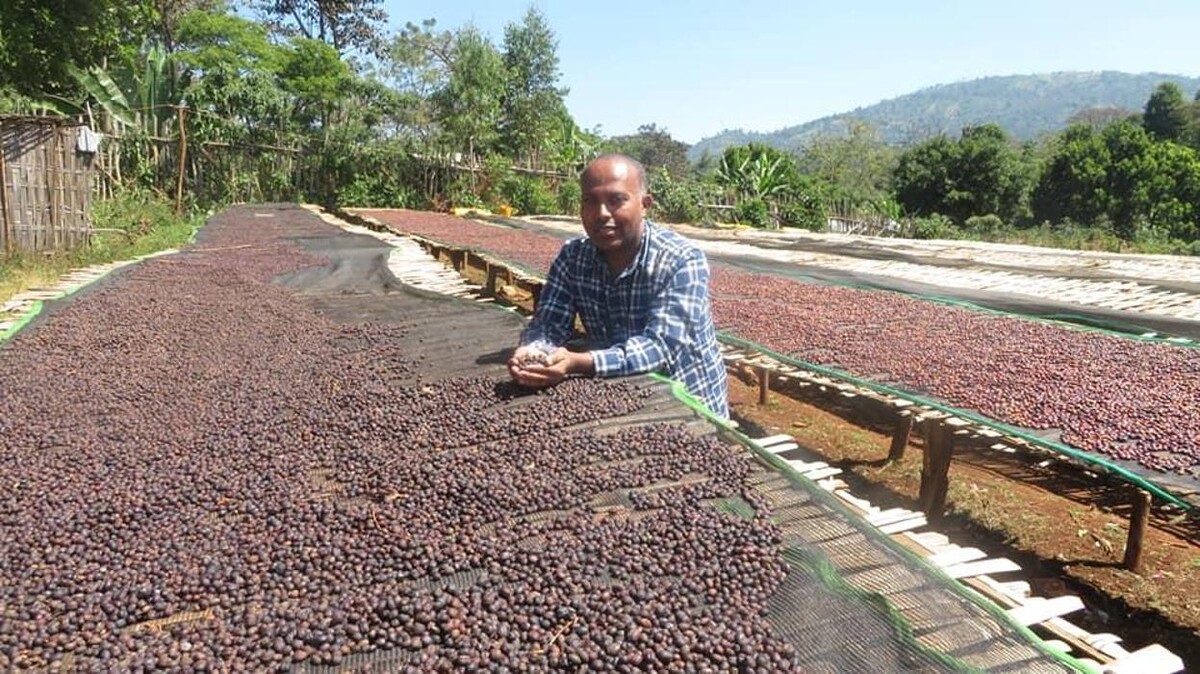 Images ETHIOCOFFEE IMPORTERS & DISTRIBUTORS LTD
