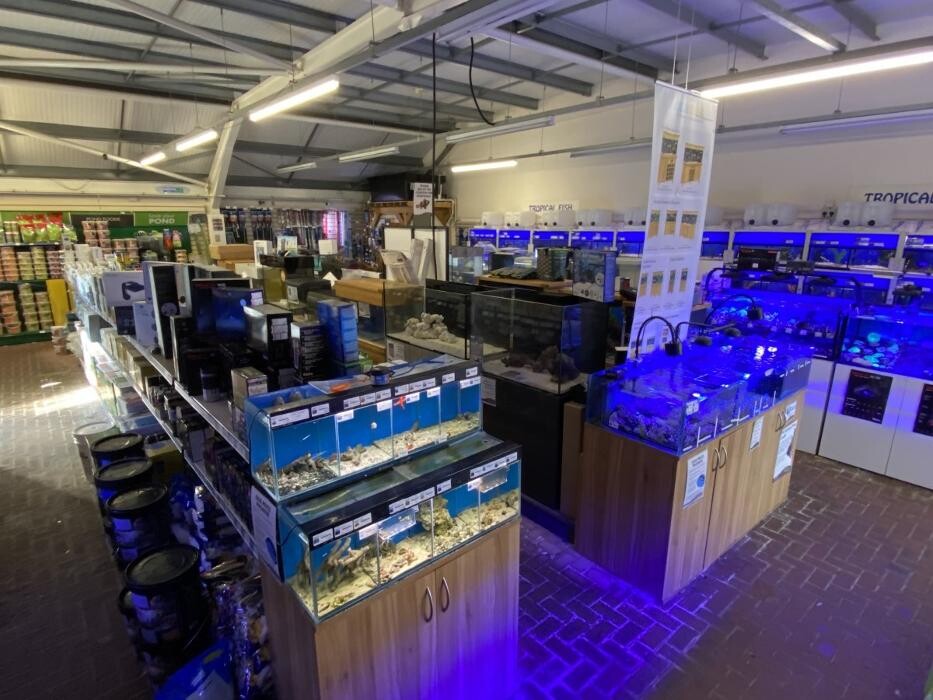 Images Maidenhead Aquatics Crawley