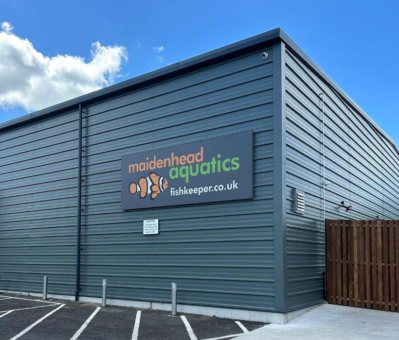 Images Maidenhead Aquatics Rokers
