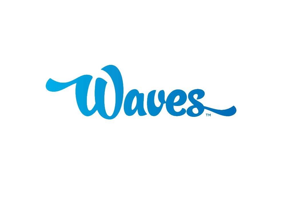 Waves Hand Car Wash Logo