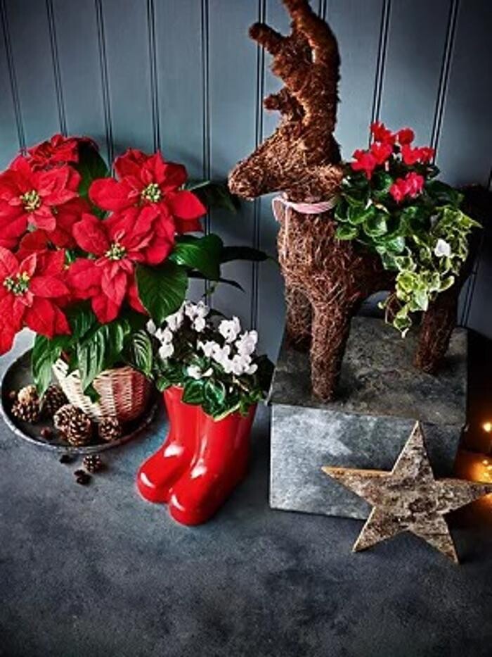 Images Marks & Spencer