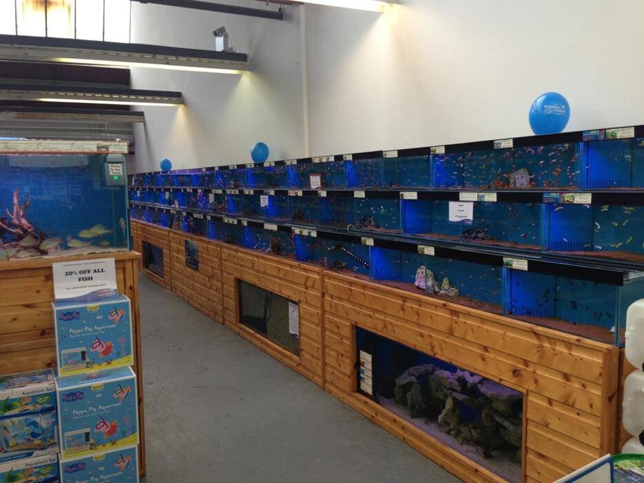 Images Fishkeeper Glasgow (Coatbridge)