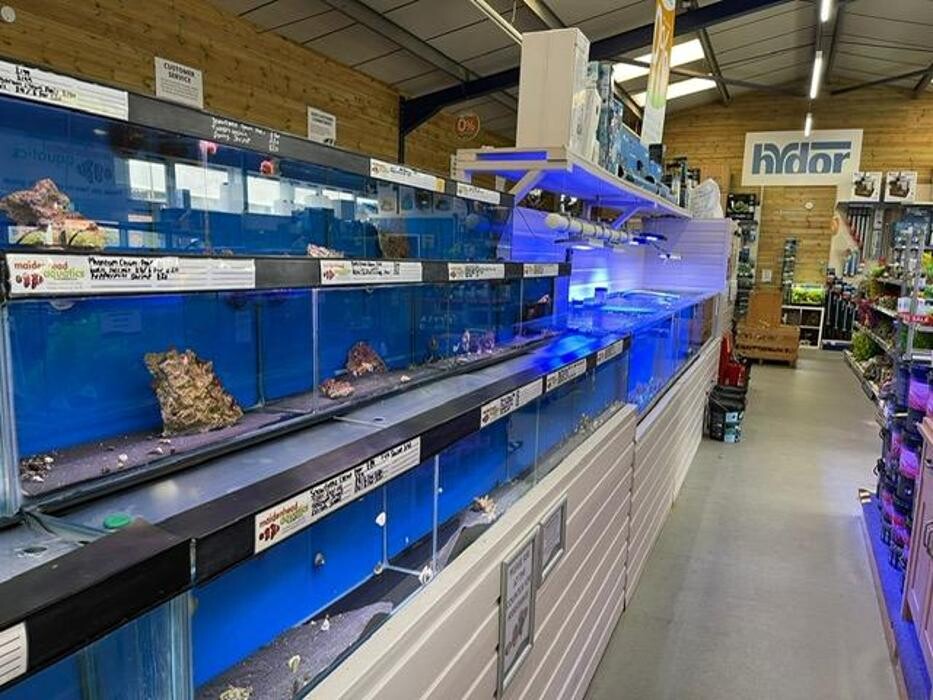 Images Maidenhead Aquatics Leicester