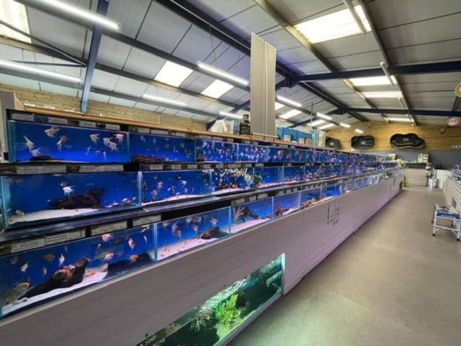 Images Maidenhead Aquatics Leicester