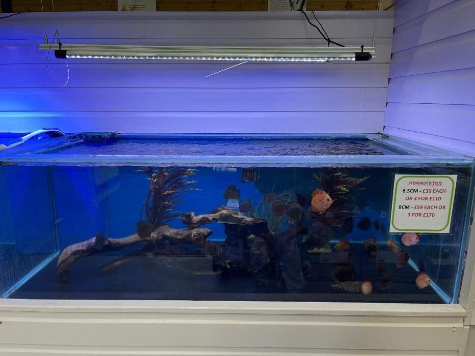 Images Maidenhead Aquatics Leicester