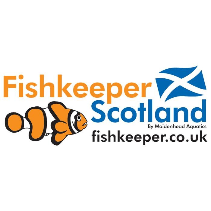 Images Fishkeeper Stirling