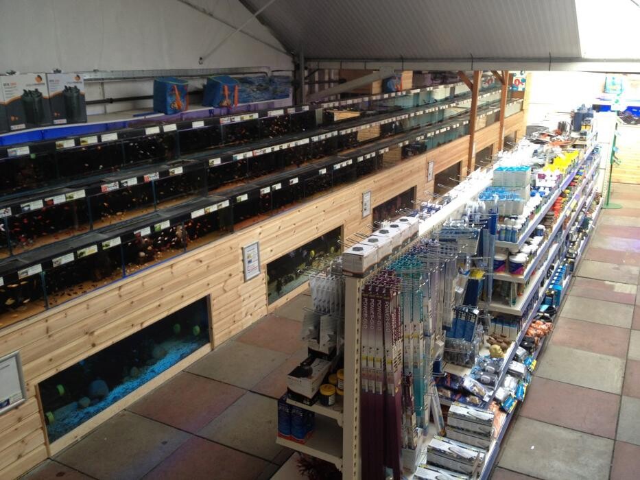 Images Maidenhead Aquatics Dartford