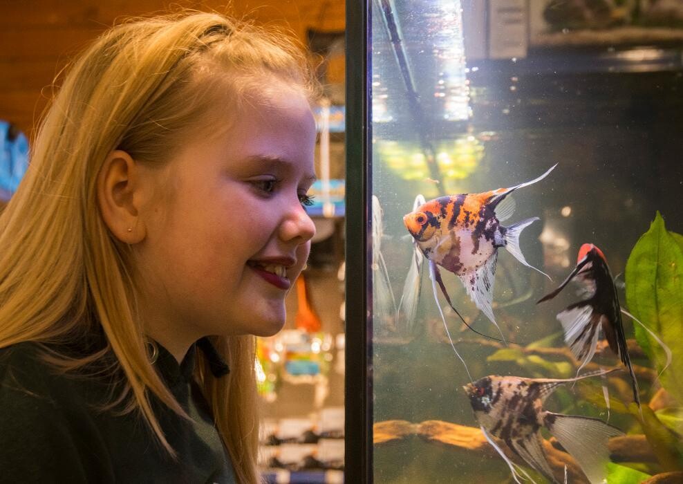 Images Fishkeeper Perth