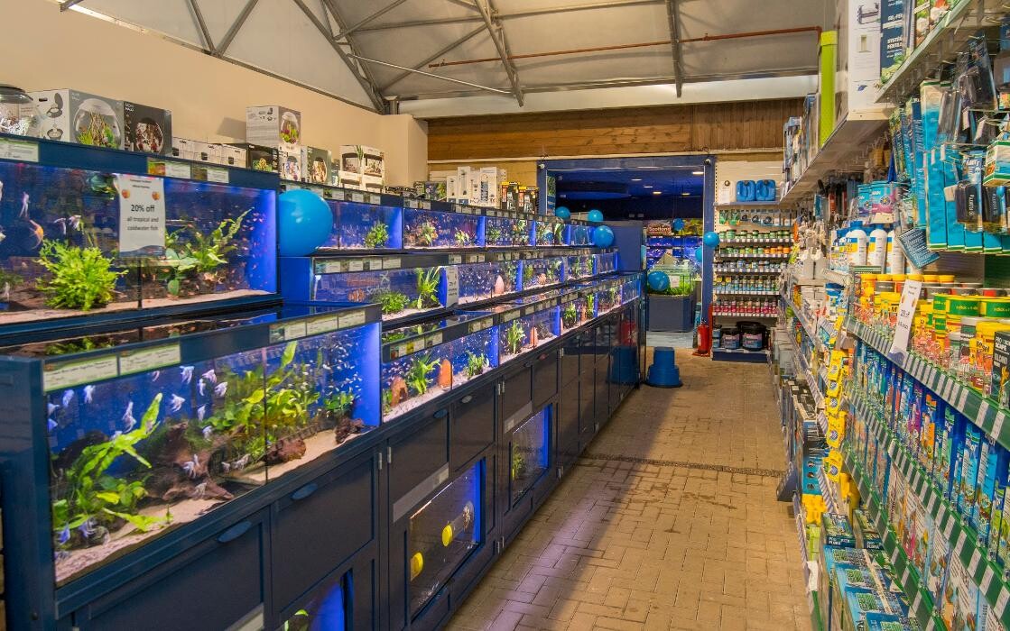 Images Fishkeeper Perth