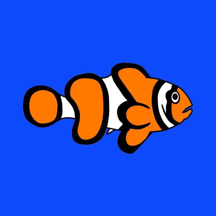 Images Fishkeeper Perth