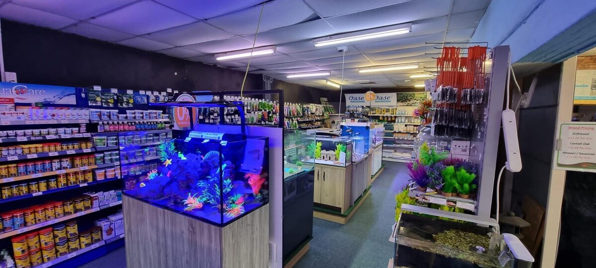 Images Maidenhead Aquatics Coventry