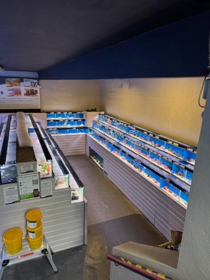 Images Maidenhead Aquatics Coventry