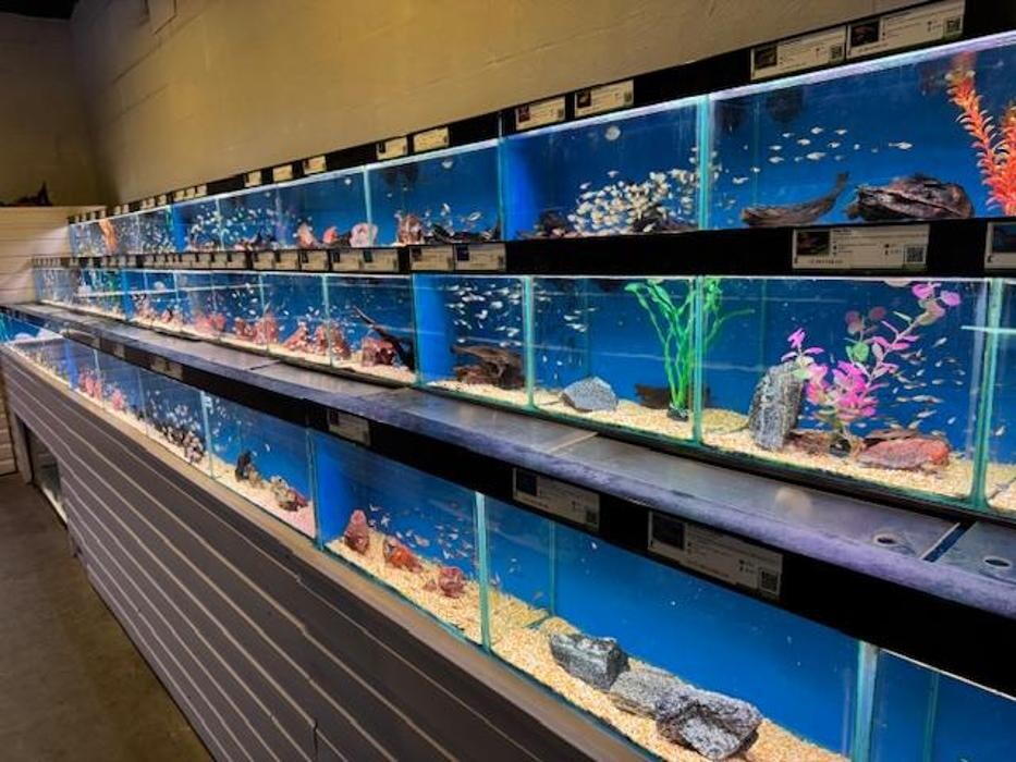 Images Maidenhead Aquatics Coventry
