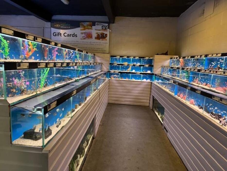 Images Maidenhead Aquatics Coventry