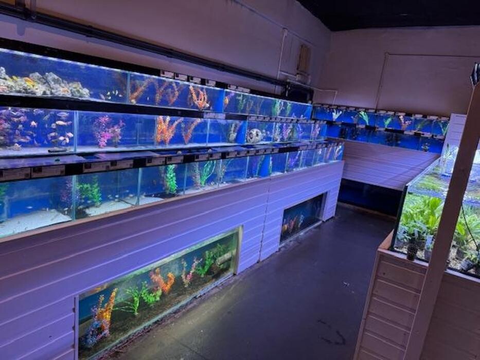 Images Maidenhead Aquatics Coventry