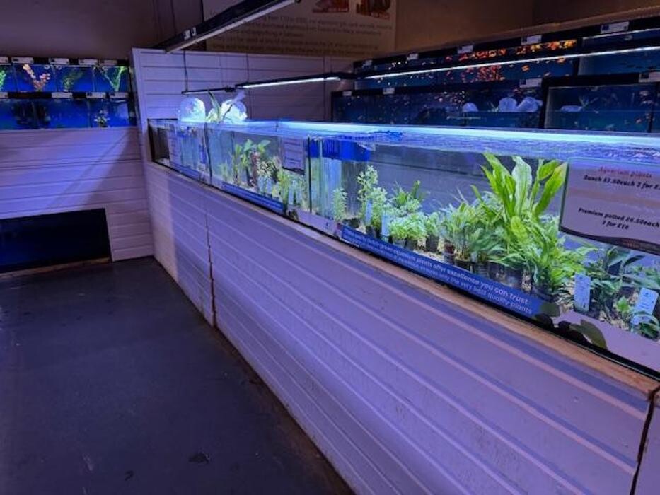 Images Maidenhead Aquatics Coventry