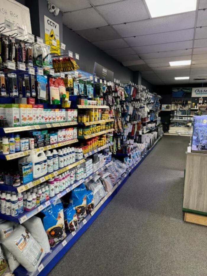 Images Maidenhead Aquatics Coventry