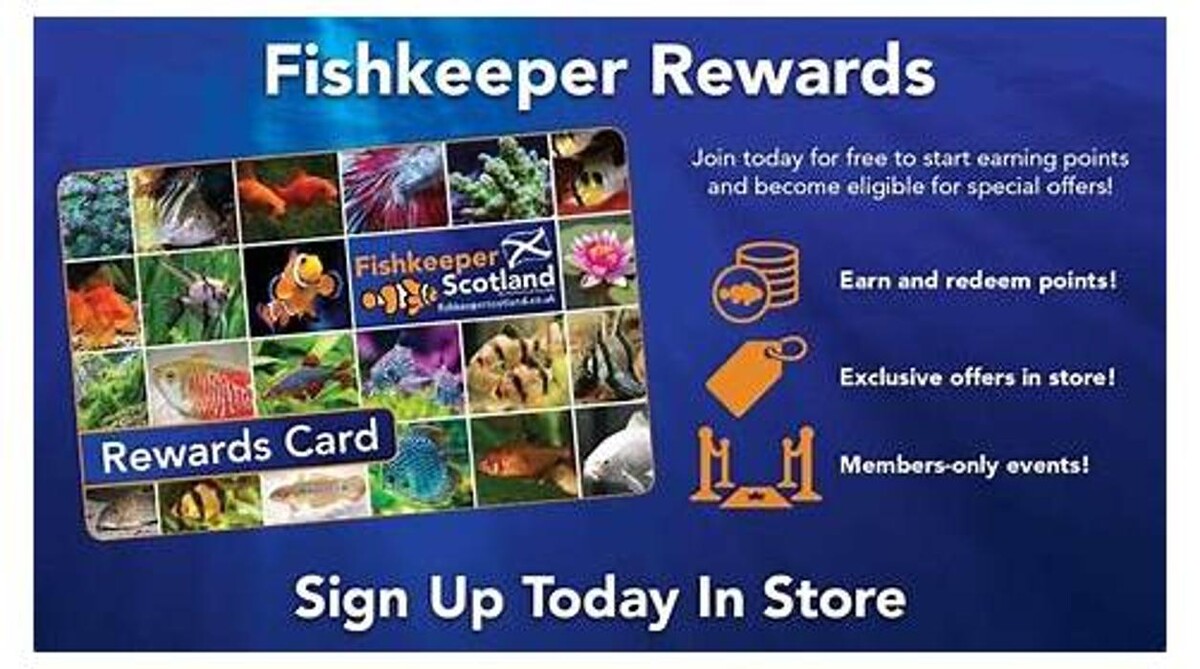 Images Fishkeeper Braehead