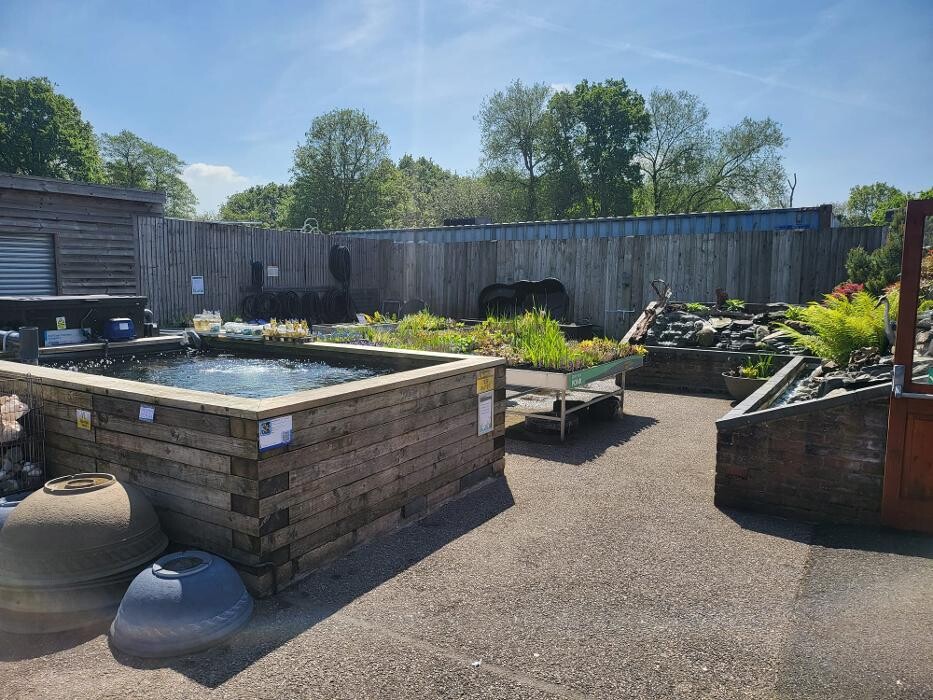 Images Maidenhead Aquatics Weybridge
