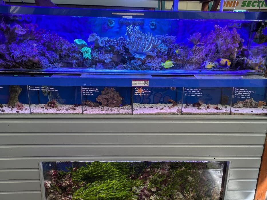 Images Maidenhead Aquatics Weybridge