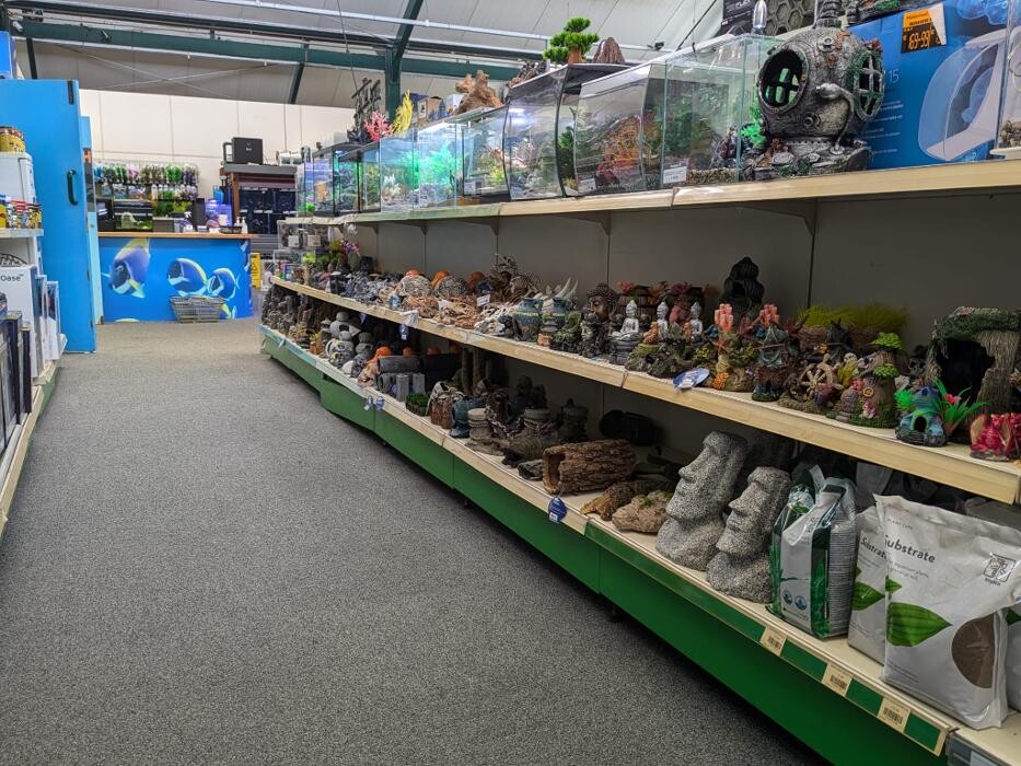 Images Maidenhead Aquatics Weybridge