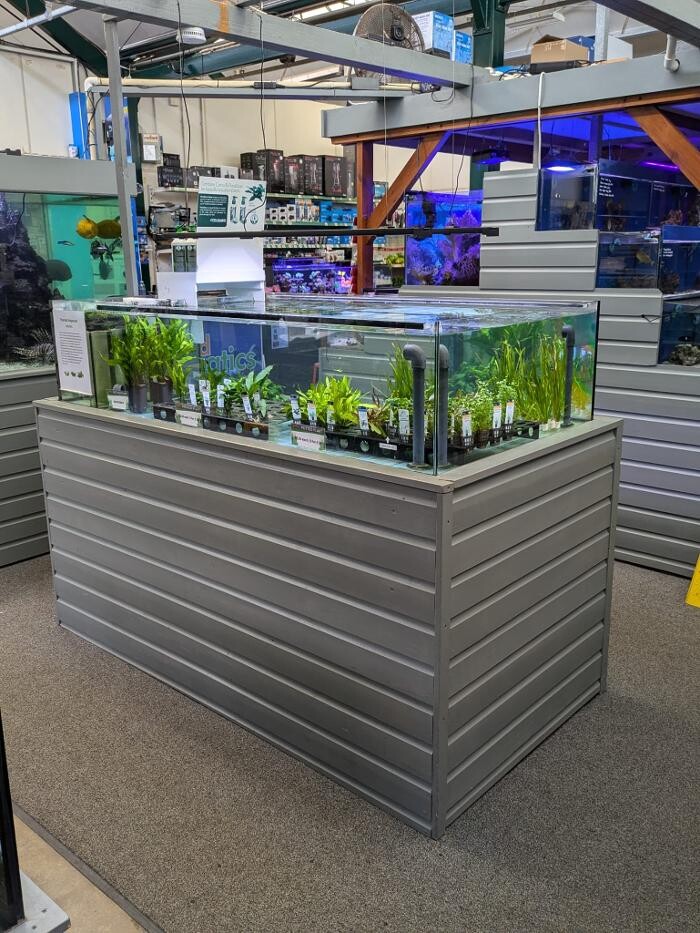 Images Maidenhead Aquatics Weybridge