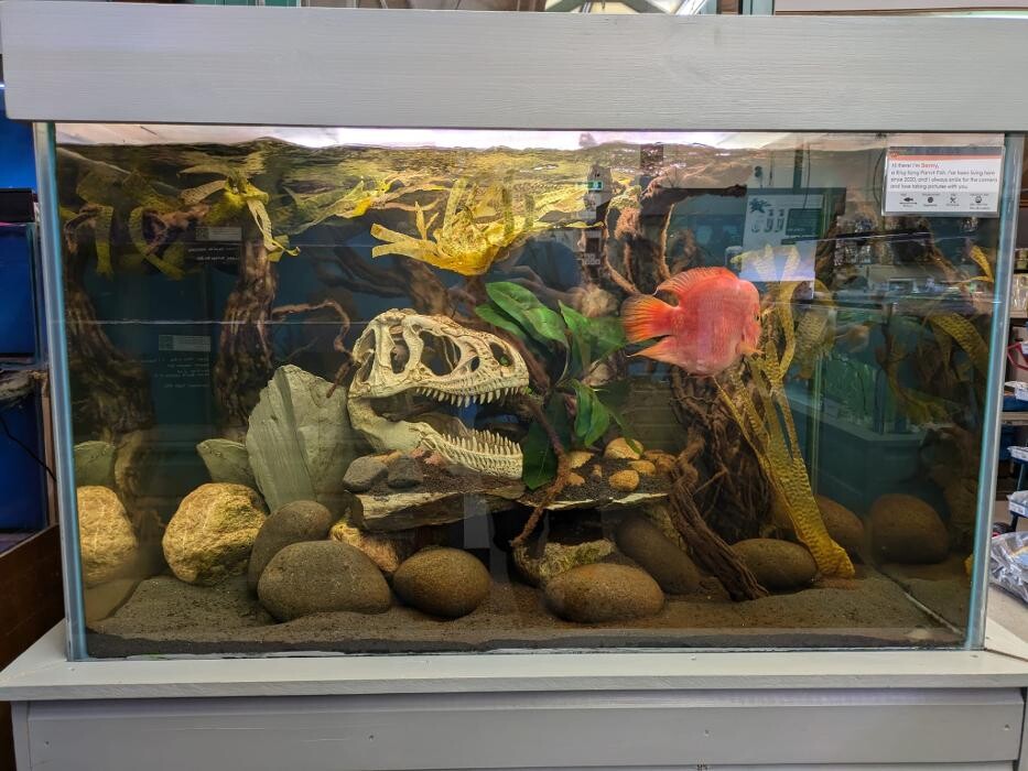 Images Maidenhead Aquatics Weybridge