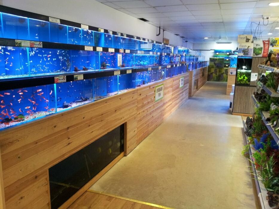 Images Maidenhead Aquatics Aylesbury