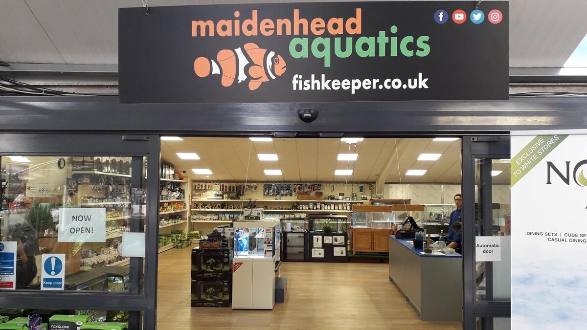 Images Maidenhead Aquatics Enfield