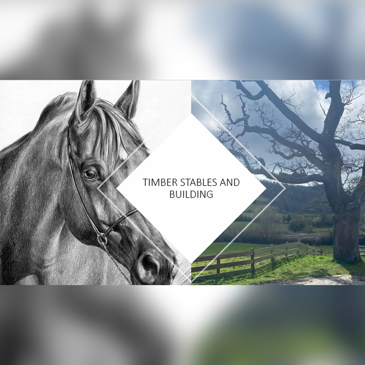 Timber Stables And Building Ltd Logo