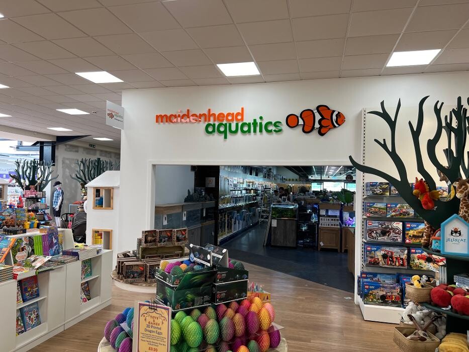 Images Maidenhead Aquatics Huntingdon