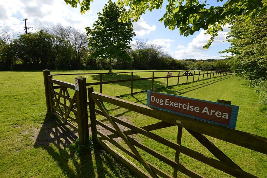 Images Tarka Holiday Park