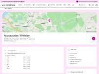Website Screenshot Accessorize