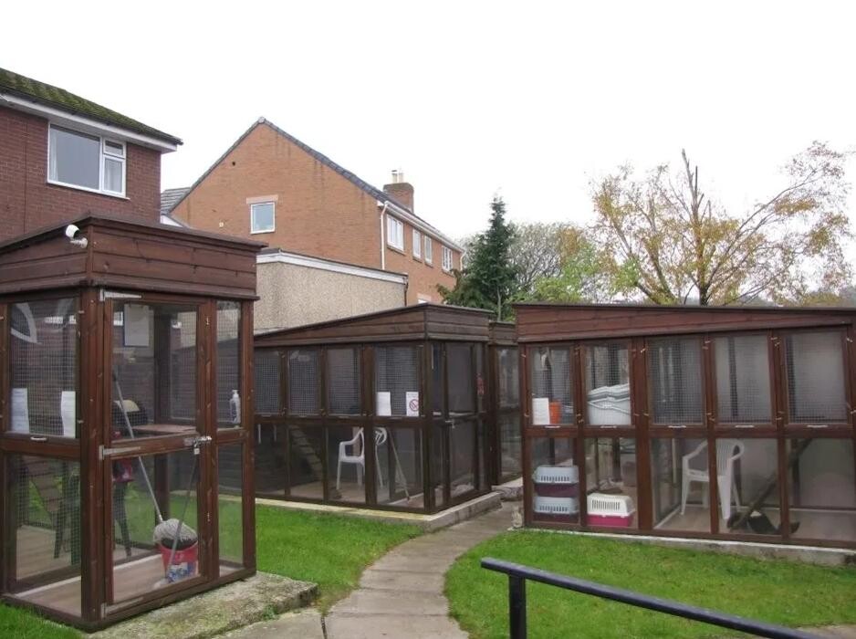 Images Bwlchgwyn Cattery