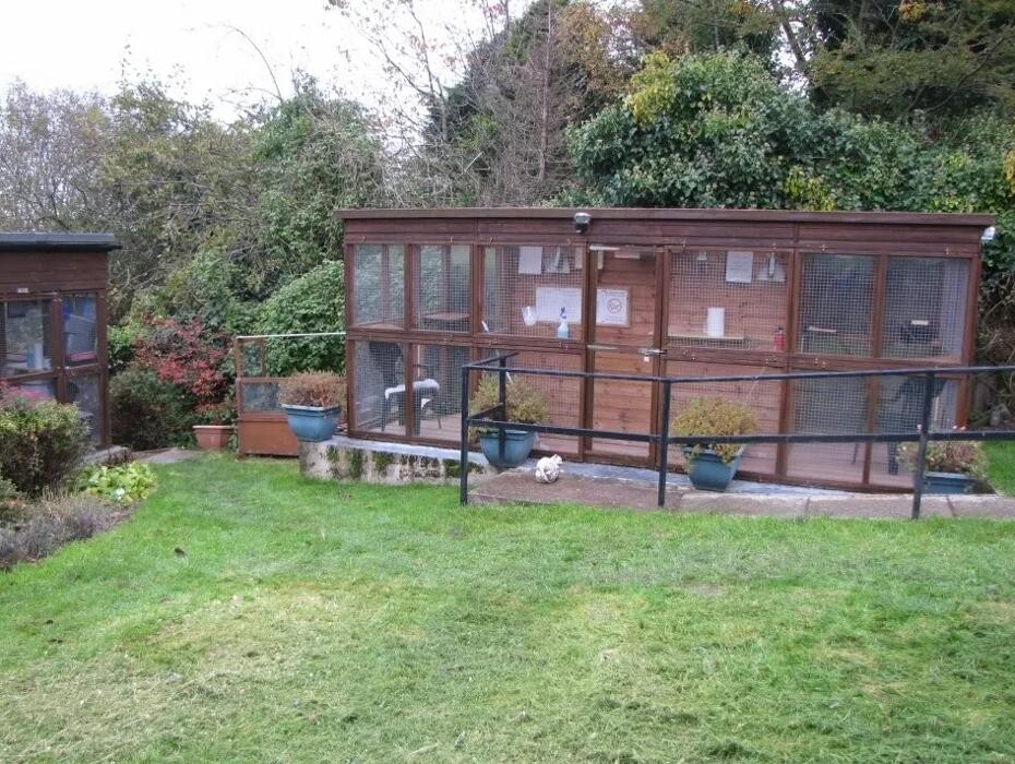 Images Bwlchgwyn Cattery