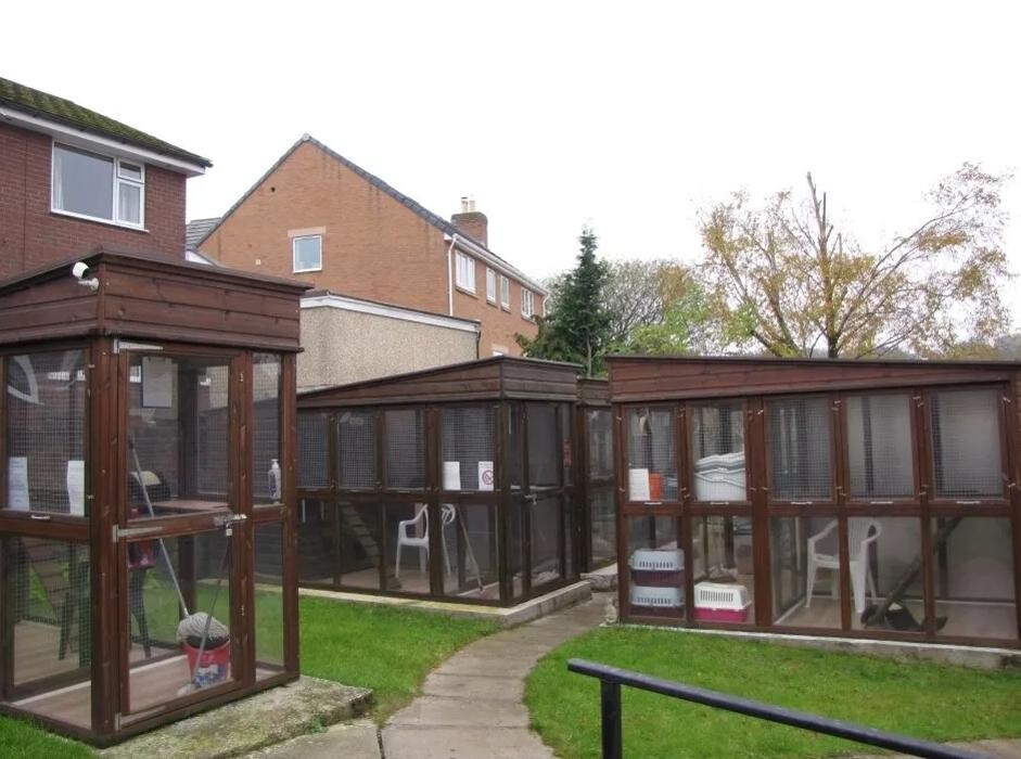 Images Bwlchgwyn Cattery