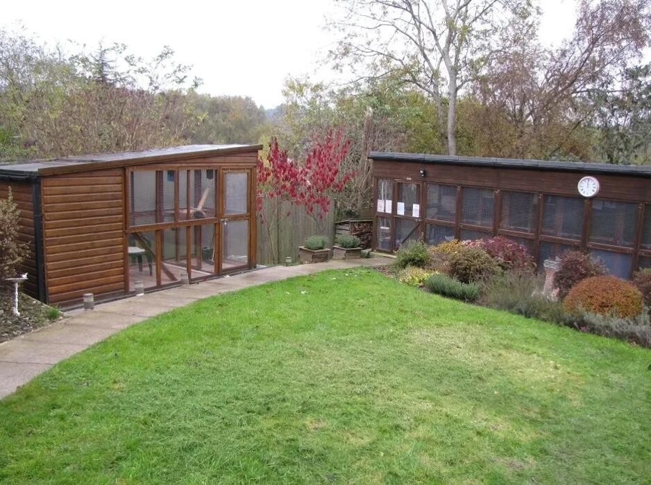 Images Bwlchgwyn Cattery