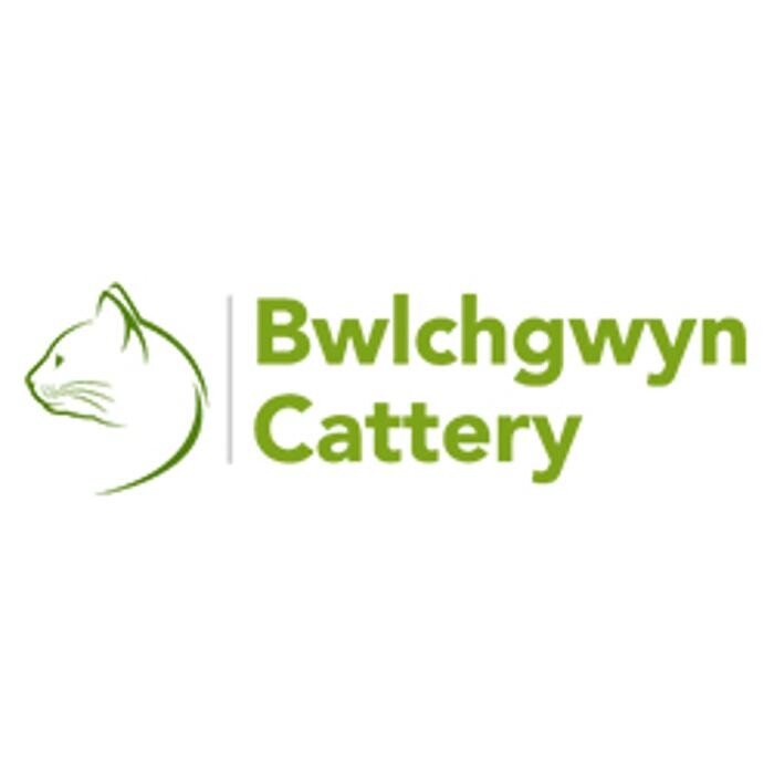 Images Bwlchgwyn Cattery