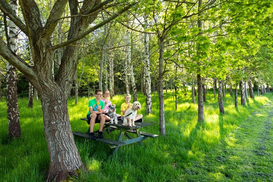 Images Wood Farm Holiday Park