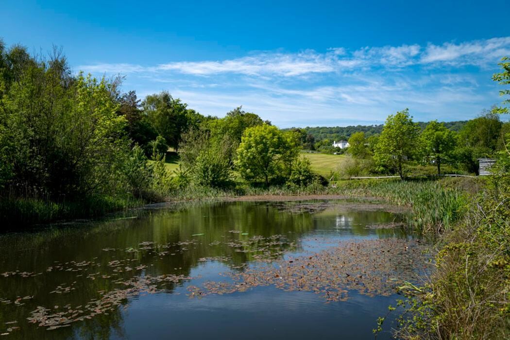 Images Wood Farm Holiday Park