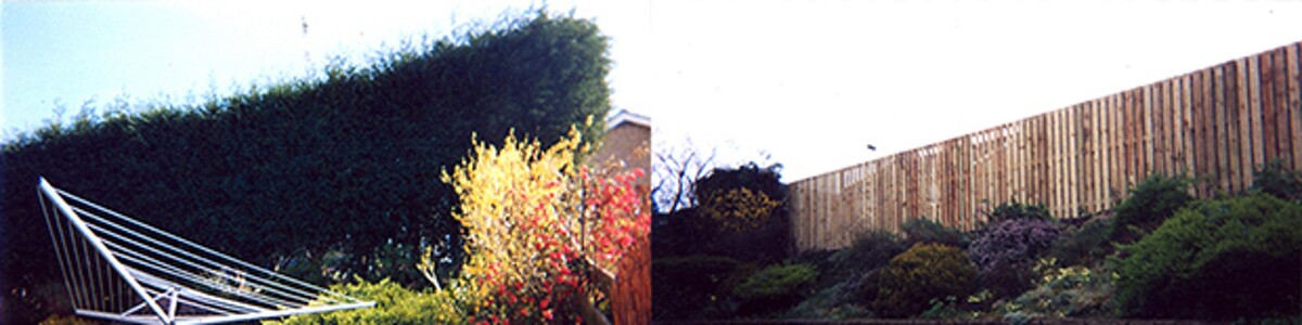 Images Townsley Landscaping & Property Maintenance