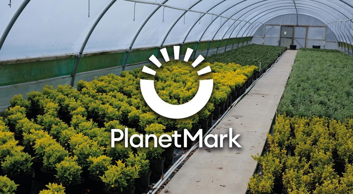 Images Mulberry & Thyme Liss